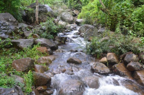  Stream Garden Mountain Resort  Калпетта
